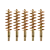 5-Pack