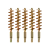 5-Pack