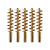 5-Pack
