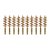 10-Pack
