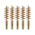 5-Pack