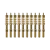 10-Pack