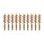 10-Pack