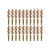 20-Pack