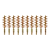10-Pack