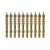 10-Pack