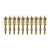 10-Pack