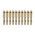 10-Pack