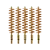 5-Pack