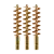 3-Pack