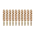10-Pack